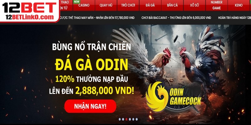 Đăng Ký 12BET - Hướng Dẫn Mở Tài Khoản Nhanh Chóng 9 Đại lý cần theo dõi và chăm sóc từng người để họ hoạt động ổn định